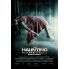 The Haunting In Connecticut 2 - Ghosts Of Georgia - Film DVD