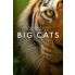 Big Cats - Film DVD