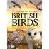 British Birds - Film DVD