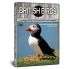 British Birds - Mountains, Moors & Heaths, Coasts & Cliffs - Film DVD