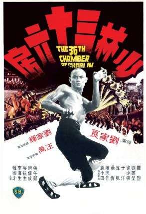 36 Chambers Of Shaolin - Film DVD