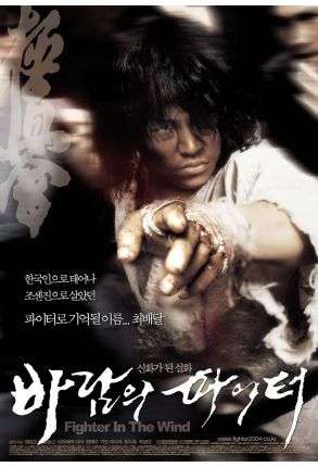 Fighter In The Wind - Film DVD