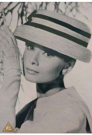 Audrey Hepburn Special DVD Collection - Breakfast At Tiffany's (1961) + Sabrina (1954) + Funny Face (1957) + Paris When It Sizzles (1964) - 4 Movies Boxset - Film DVD