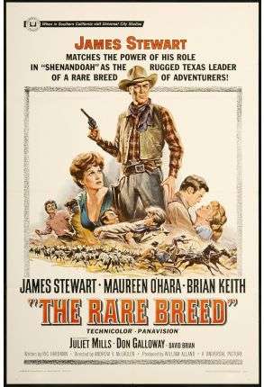The Rare Breed - Film DVD