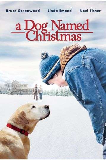 A Dog Named Christmas (2009) - Film DVD