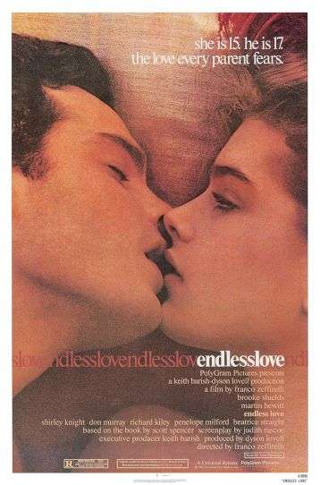 Endless Love - Film DVD