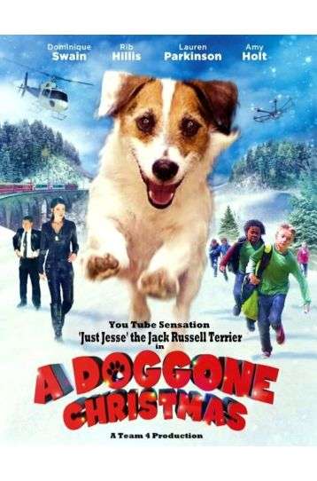 A Doggone Christmas - Film DVD