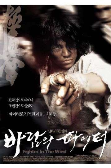 Fighter In The Wind - Film DVD