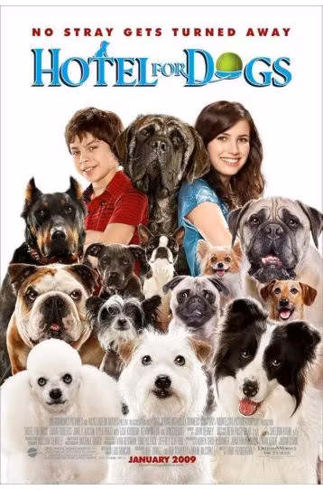 Hotel For Dogs - Film DVD