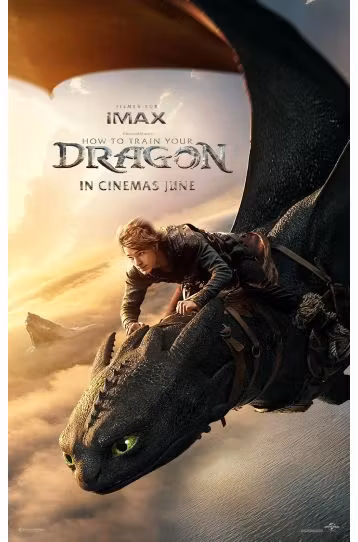 How To Train Your Dragon - Film DVD