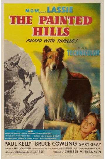 Lassie - The Painted Hills - Film DVD