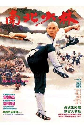 Martial Monks Of Shaolin Temple - Film DVD