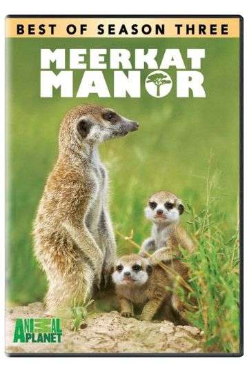 Meerkat Manor - Best Of Series 3 - Film DVD