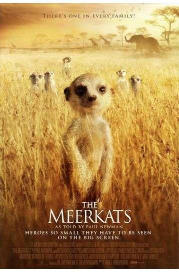 Meerkats - The Movie - Film DVD
