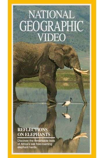Reflections On Elephants - Film DVD