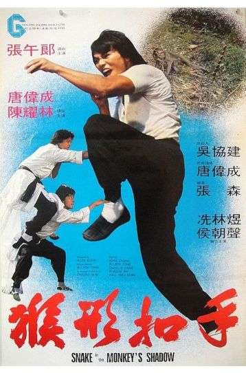 Snake In The Monkey's Shadow - Film DVD