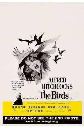 The Birds - Film DVD