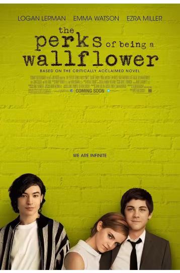 The Perks Of Being A Wallfi Over - Film DVD