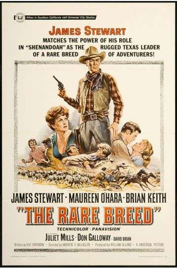The Rare Breed - Film DVD