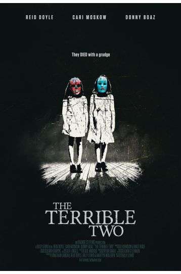 The Terrible Two - Film DVD