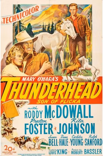 Thunderhead - Son Of Flicka - Film DVD