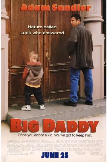 Big Daddy - Film DVD