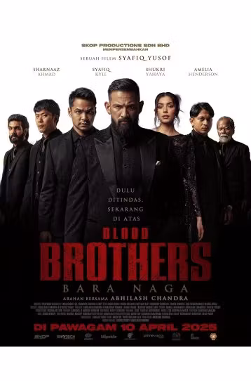 Blood Brothers - Film DVD