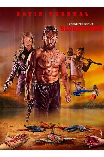 Blood Storm - Film DVD