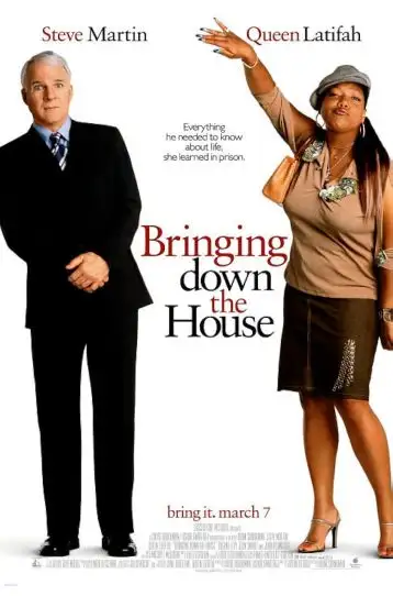Bringing Down The House - Film DVD