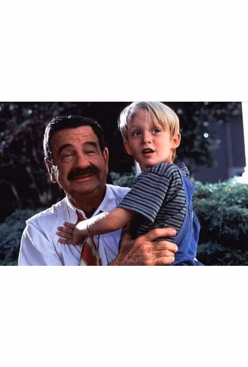 Dennis The Menace (1993), Film Comedie Copii Walter Matthau pe DVD